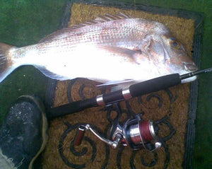 Light Spinning Combo