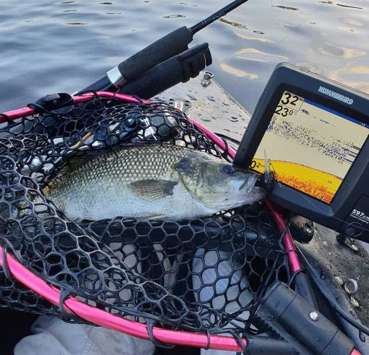 Catching bass from a kayak using a depth sounder