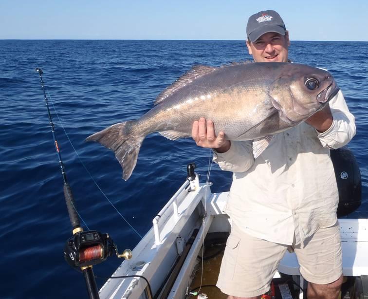 Big Fish Deep Dropping