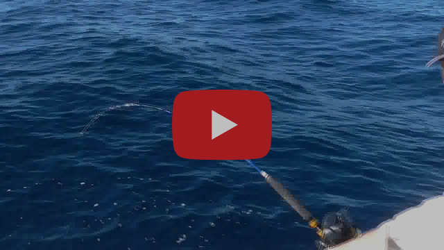 Deep Jigging the Electric Way fishing photo 1
