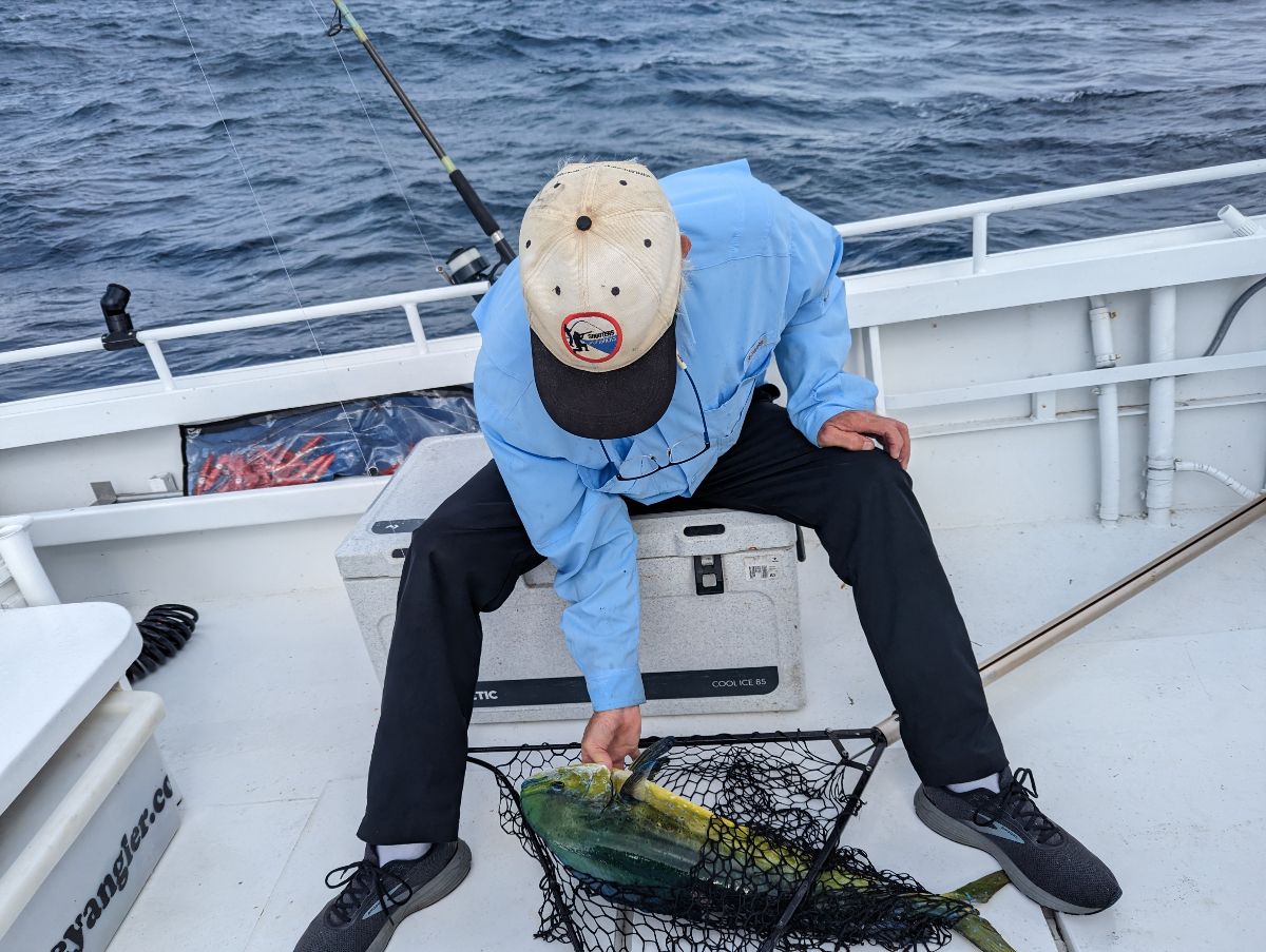 Dollies Down Deep fishing photo 1