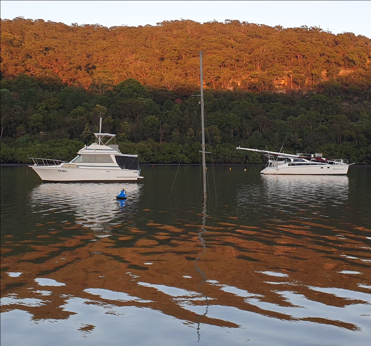 Electric Downrigging Makes It Easy fishing photo 1