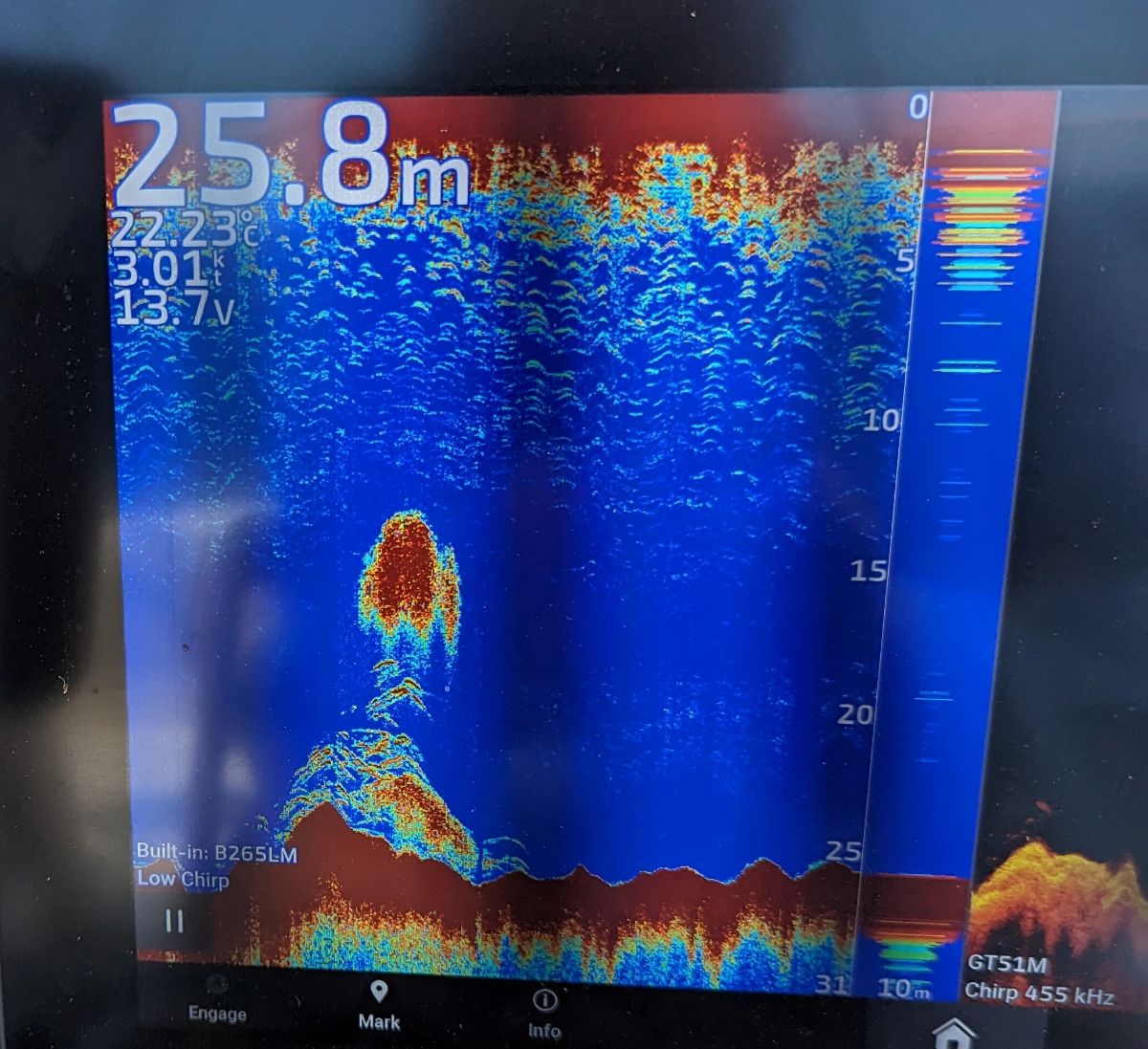 Endless Summer of Mahi fishing photo 1