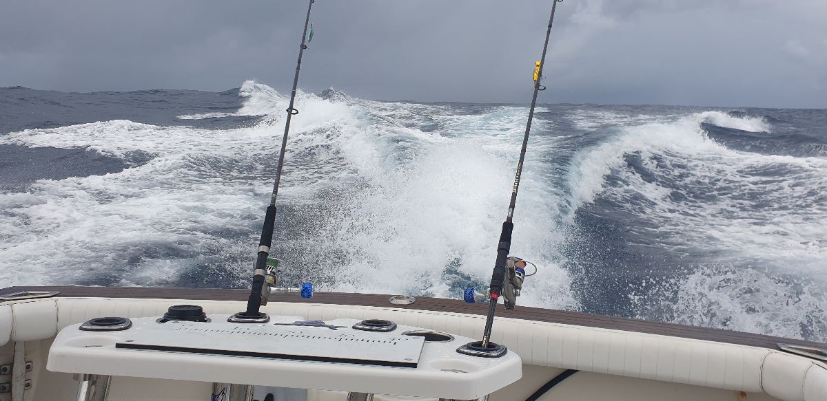 FAD Hopping fishing photo 1