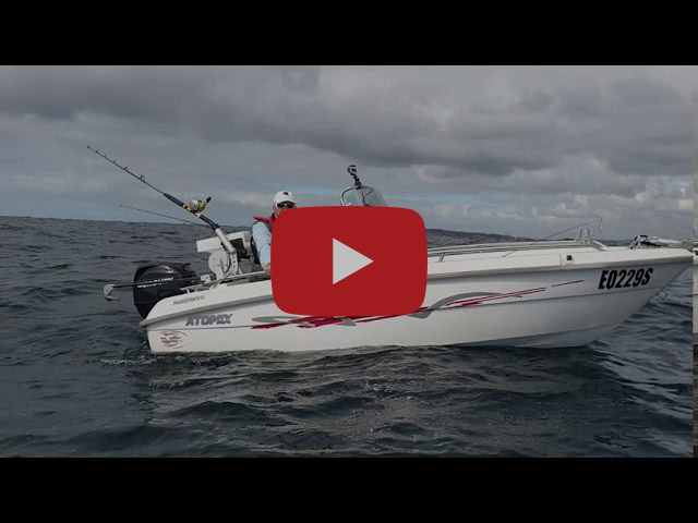 Harbour Topwater fishing photo 1