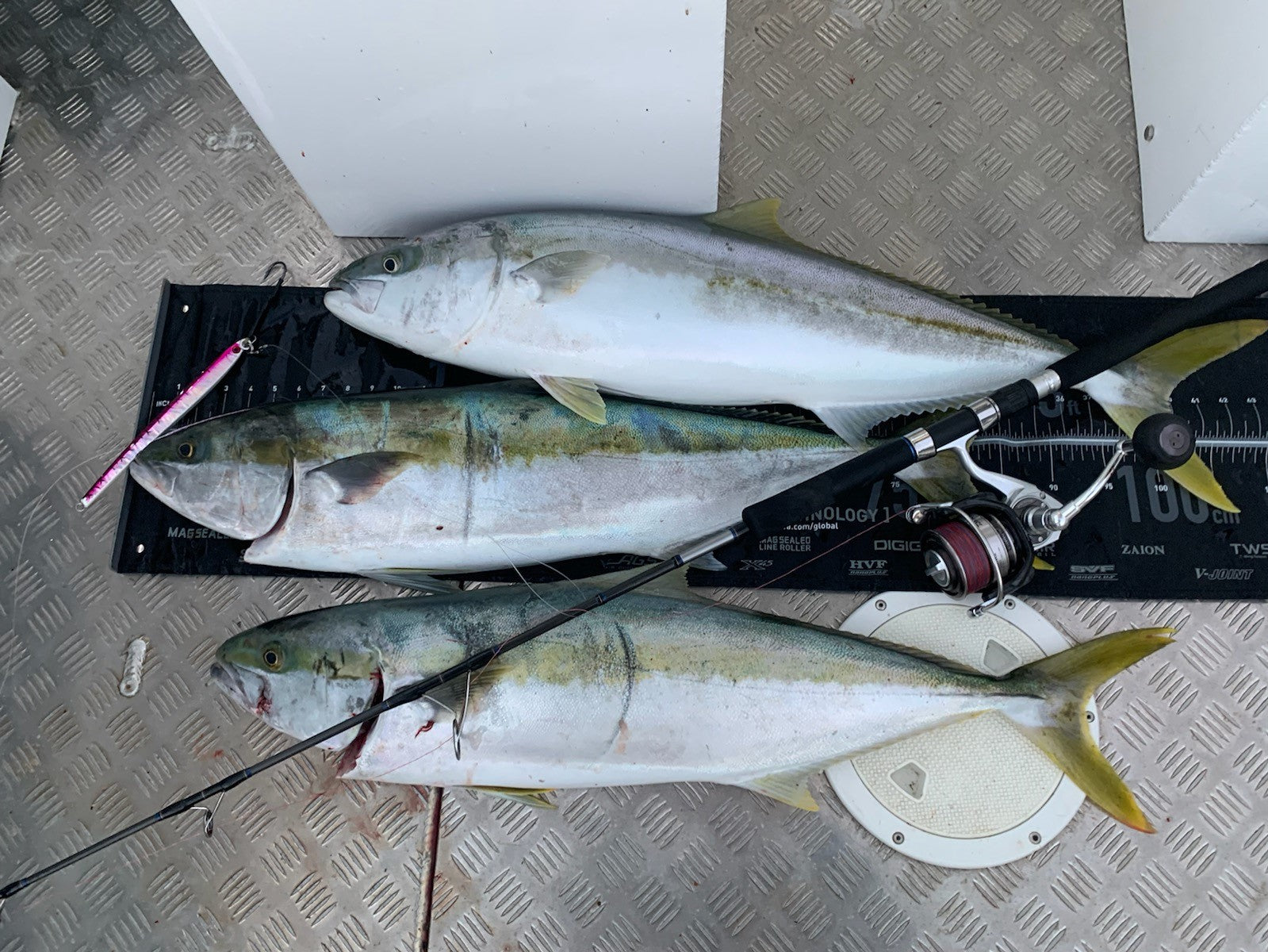 June is Jigging Time fishing photo 1
