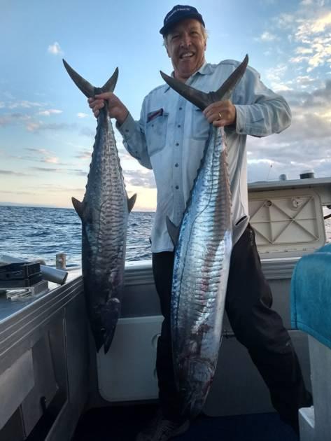 Crackerjack Amberjack And Collateral Mackerel