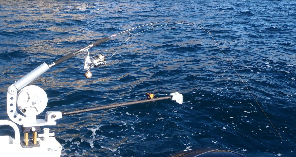 Make Jigging Great Again fishing photo 1