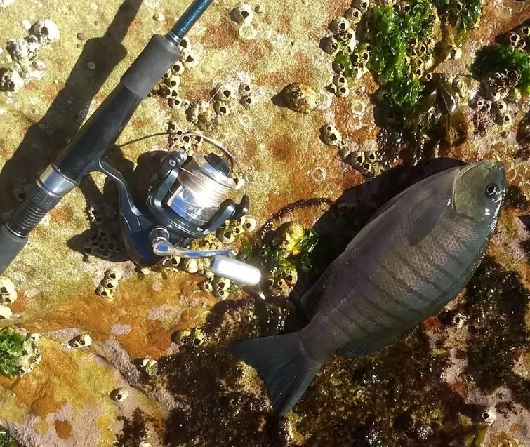 Grow your fishing based Instagram following