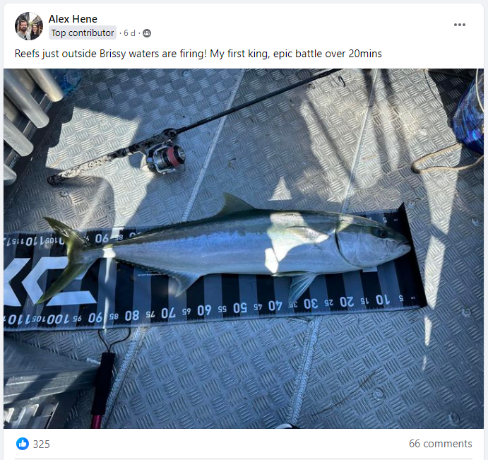 NOW IS THE TIME! For a one metre Sydney kingfish fishing photo 1
