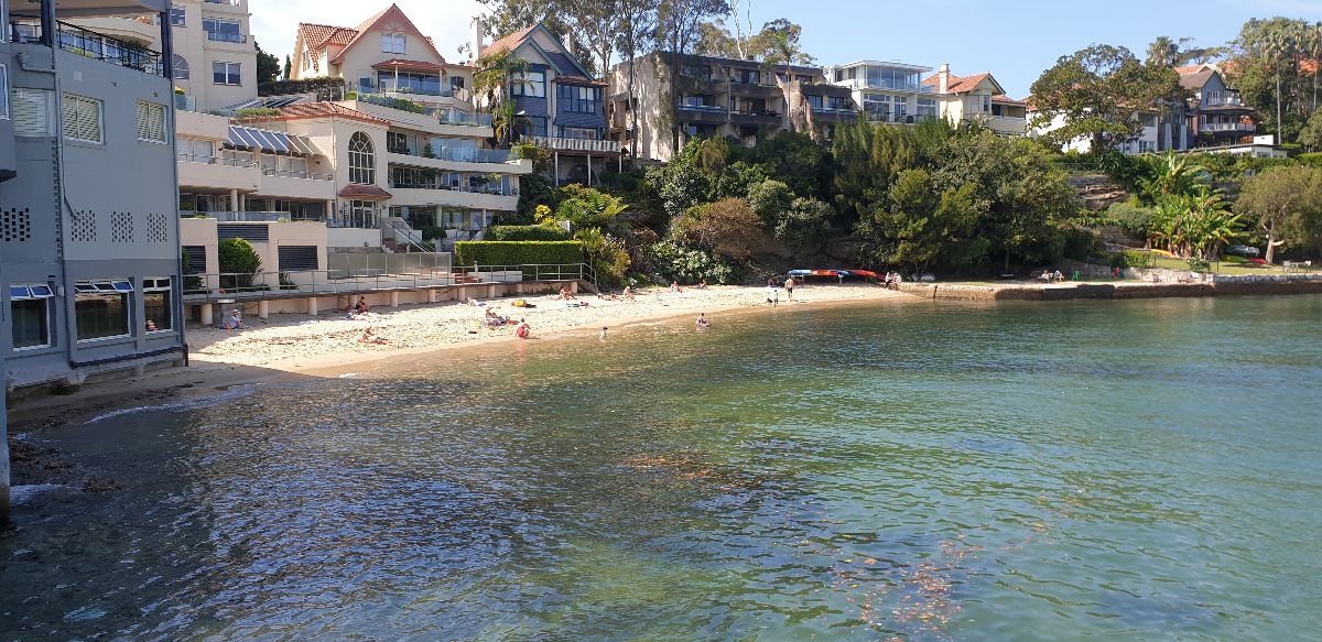 Quick and easy way to catch dinner in Sydney Harbour fishing photo 1
