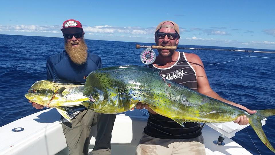 Check In At The Mahi Motel