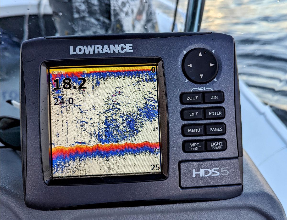 Two Mornings at Long Reef fishing photo 1