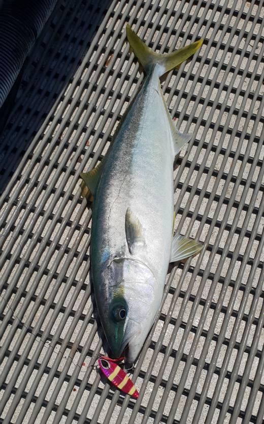 24 Hours On The Water fishing photo 9