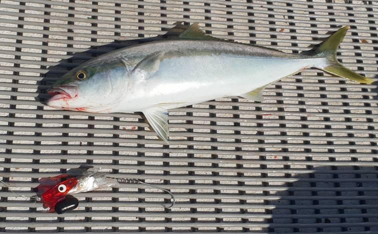 24 Hours On The Water fishing photo 10