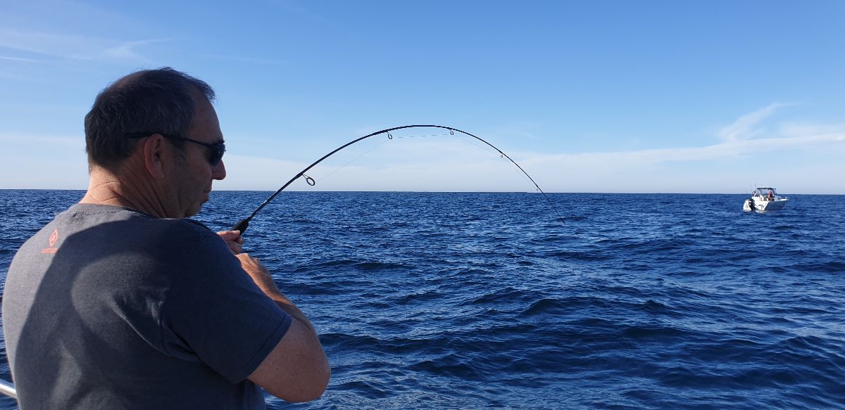 Admire The Tall, Chase The Small fishing photo 2