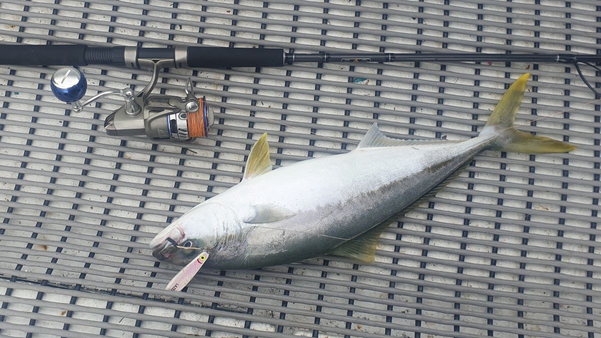 Admire The Tall, Chase The Small fishing photo 7
