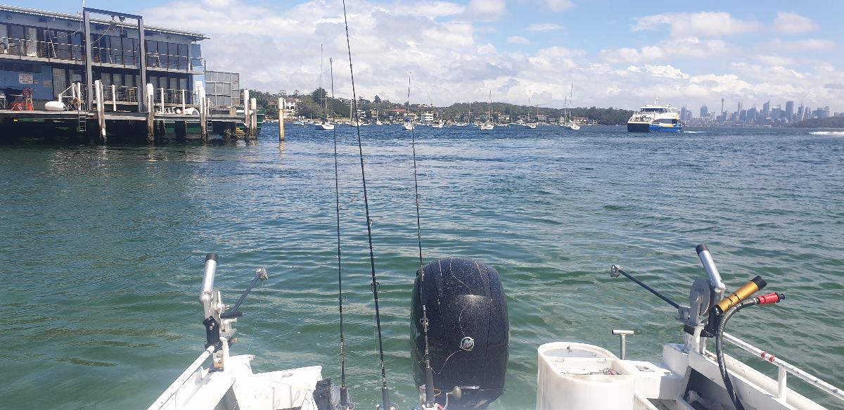 Admire The Tall, Chase The Small fishing photo 8