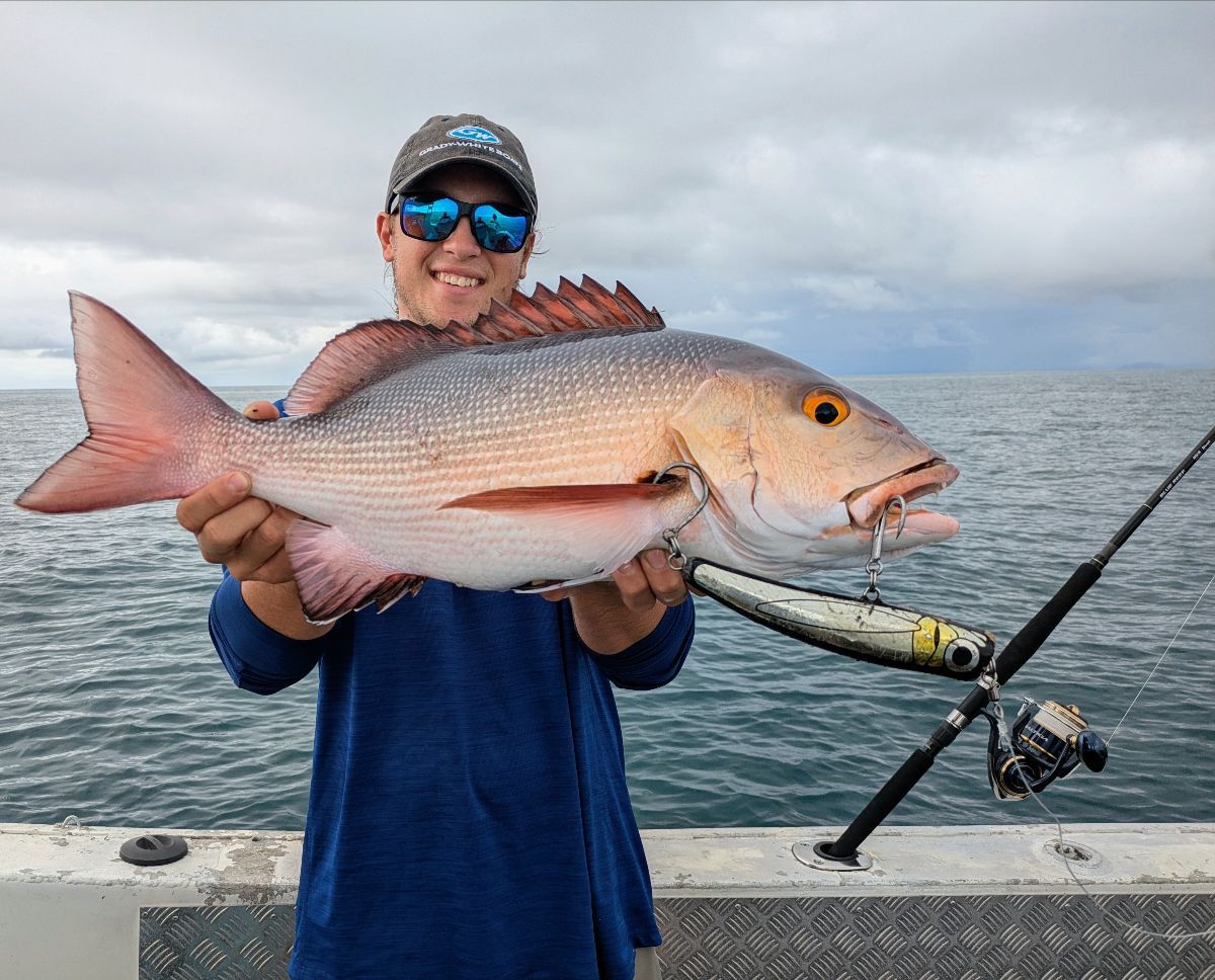 Back to Cooktown fishing photo 1