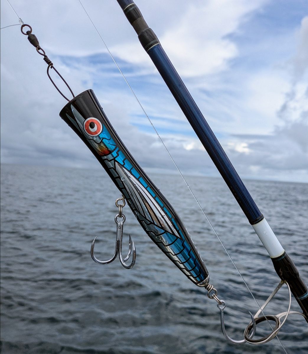 Back to Cooktown fishing photo 6