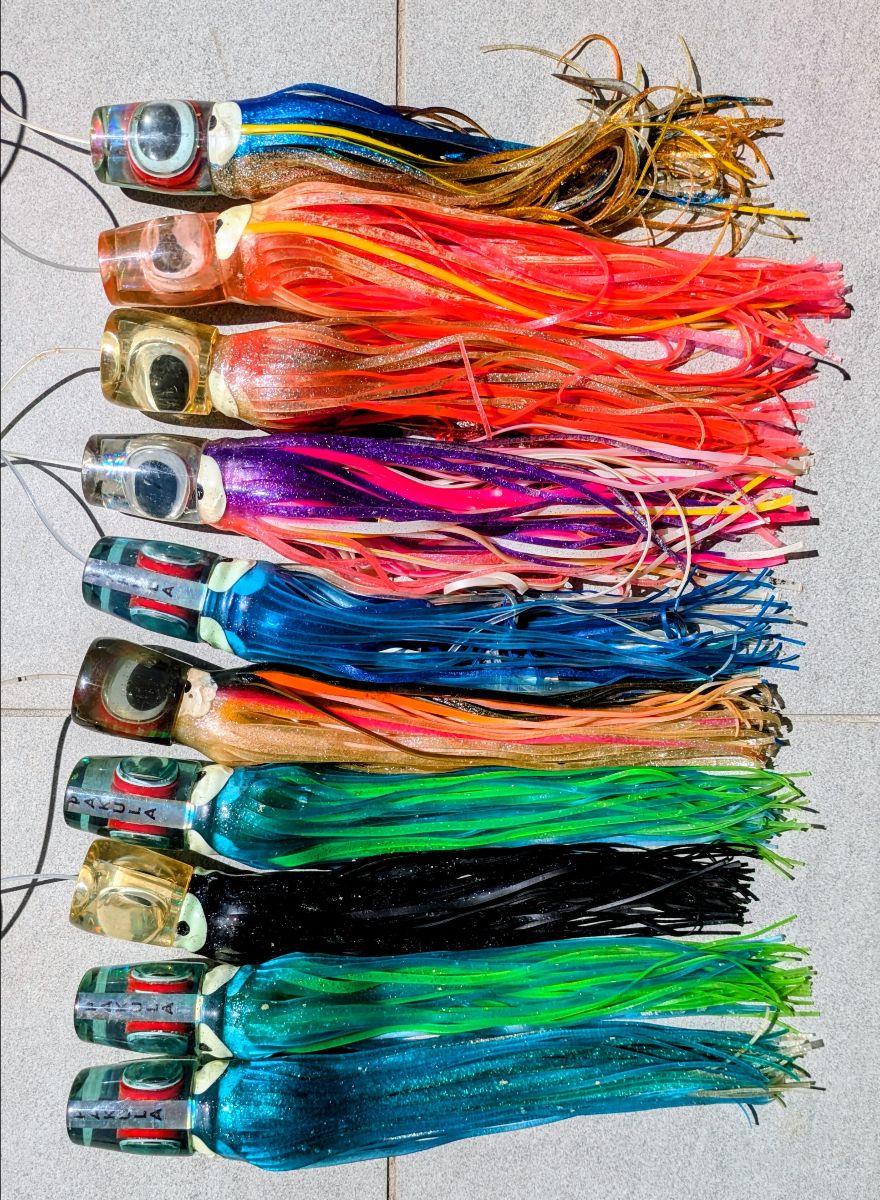 Back to Cooktown fishing photo 12