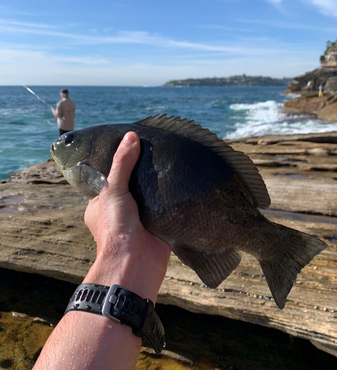 Backup Blackies fishing photo 8