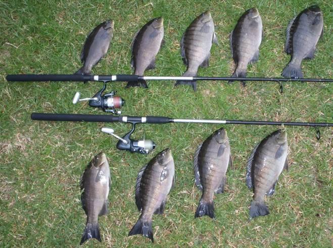 Bad Weather Fishing Options fishing photo 3