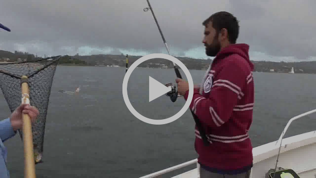 Bad Weather Fishing Options fishing photo 12