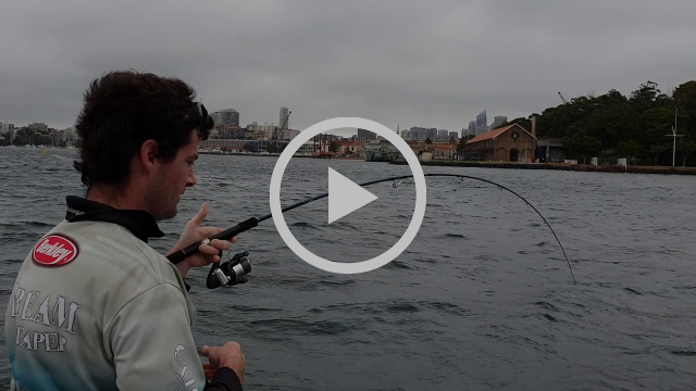 Bad Weather Fishing Options fishing photo 5