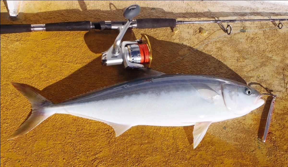 Black Rat Redemption fishing photo 5