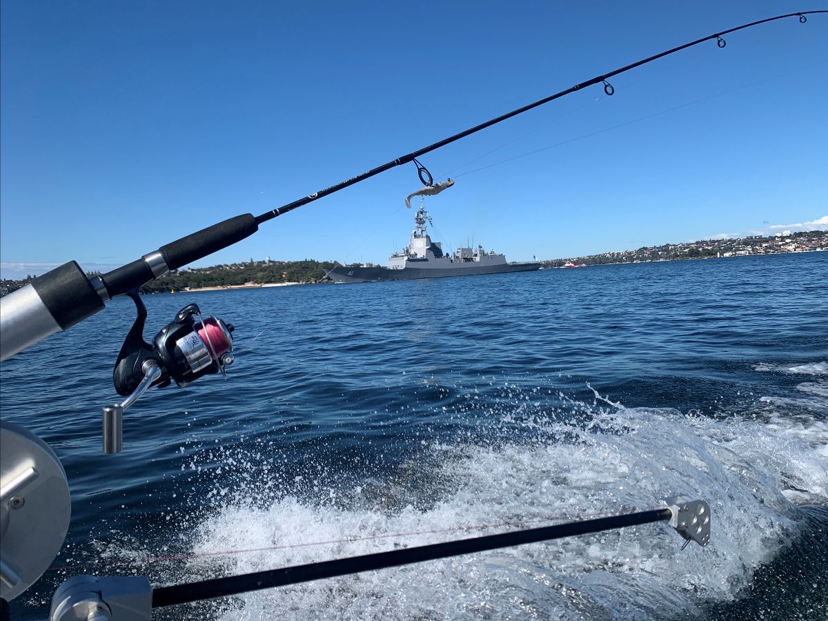 Chasing the Schools fishing photo 6