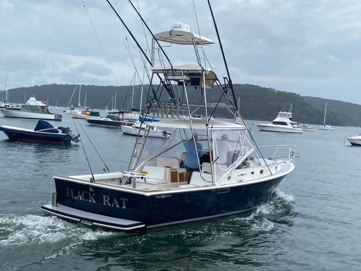 Christmas Marlin fishing photo 1
