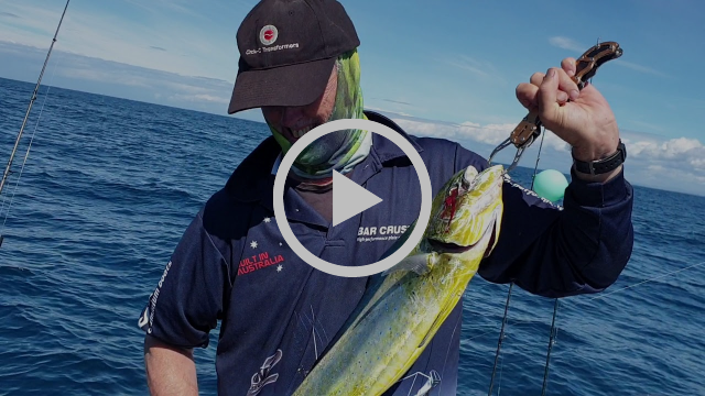 Come for the mackerel, stay for the mahi fishing photo 5