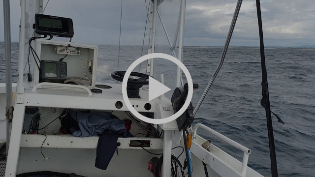 Come for the mackerel, stay for the mahi fishing photo 10