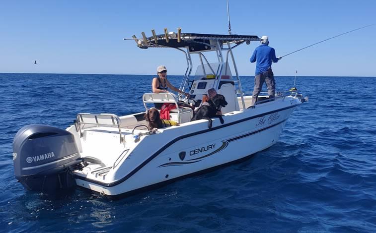 Come for the mackerel, stay for the mahi fishing photo 14
