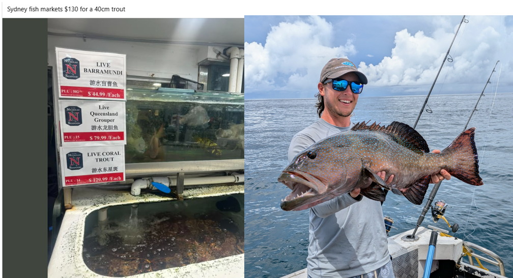COOKTOWN MARCH 2025 fishing photo 8