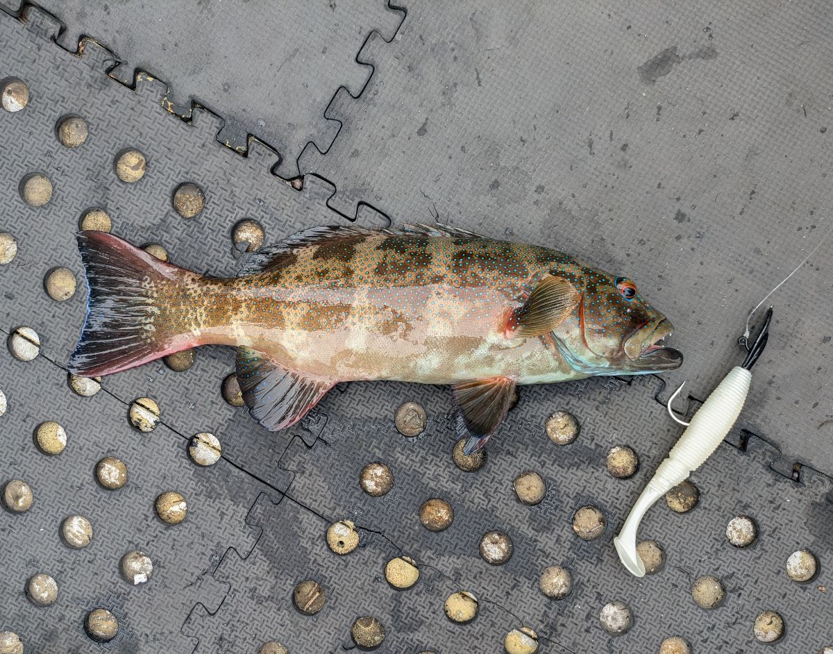 COOKTOWN MARCH 2025 fishing photo 9