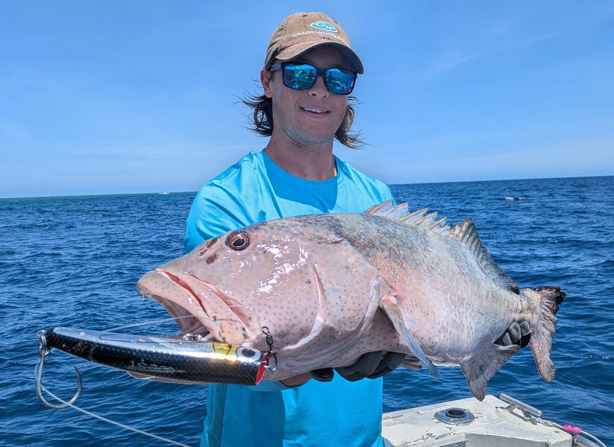 Cooktown November 2025 fishing photo 1