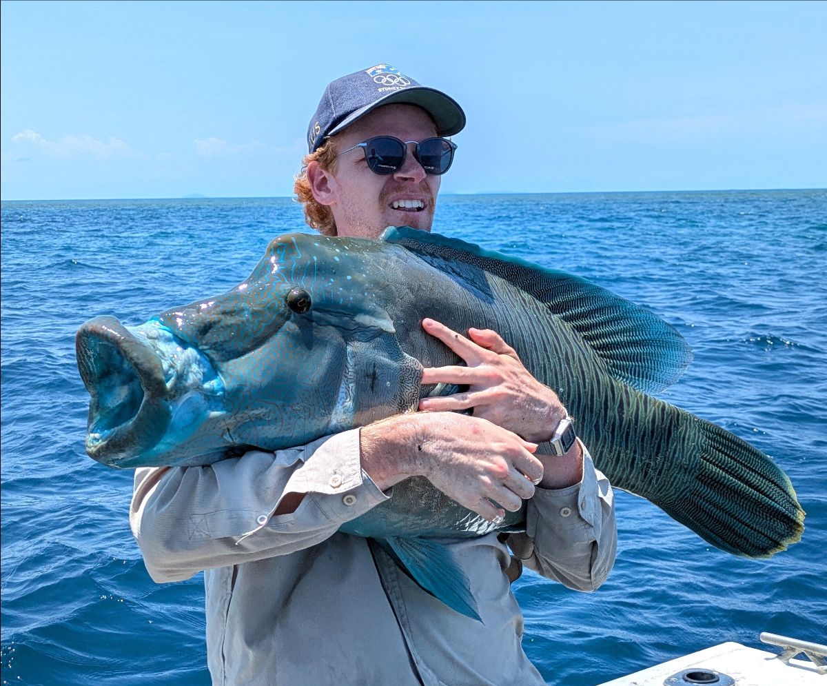 Cooktown November 2025 fishing photo 2