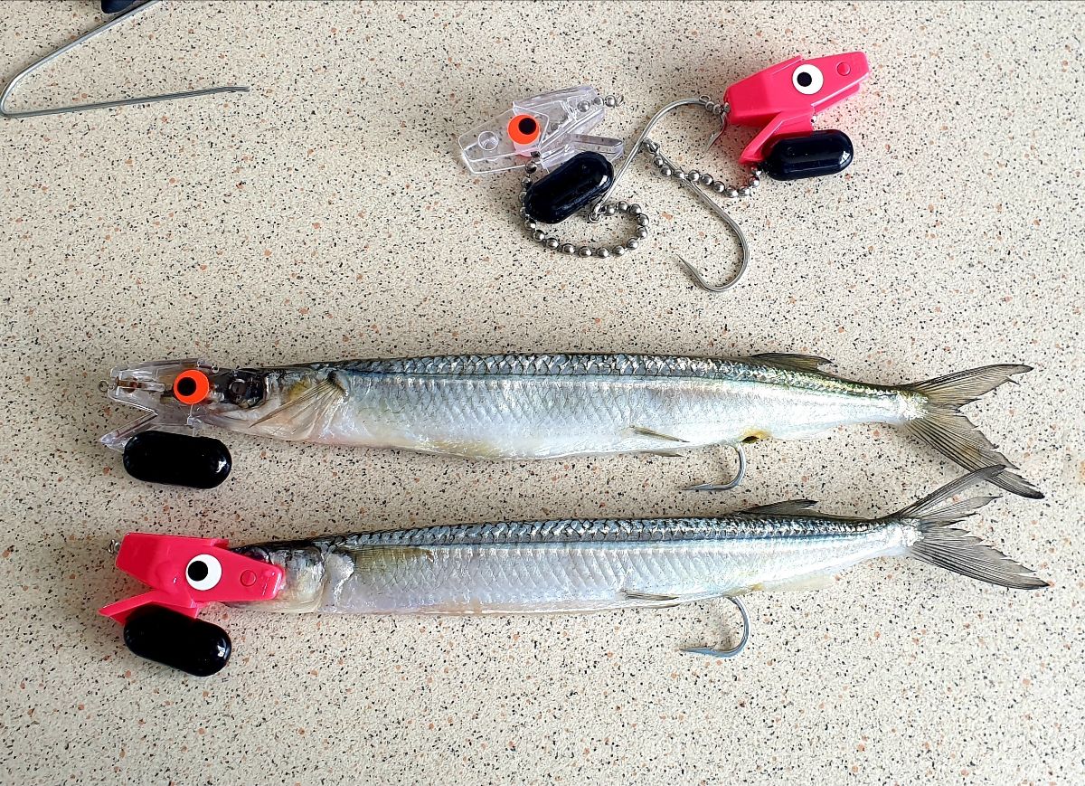 Cooktown November 2025 fishing photo 5