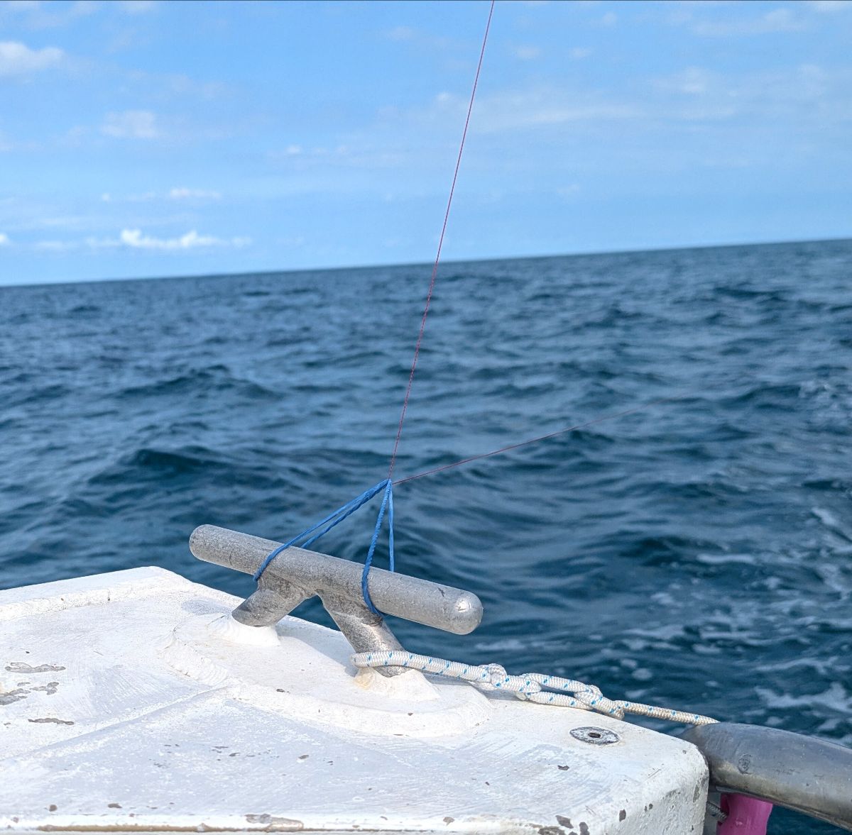 Cooktown November 2025 fishing photo 6