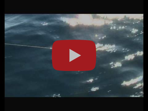 Cooktown November 2025 fishing photo 7