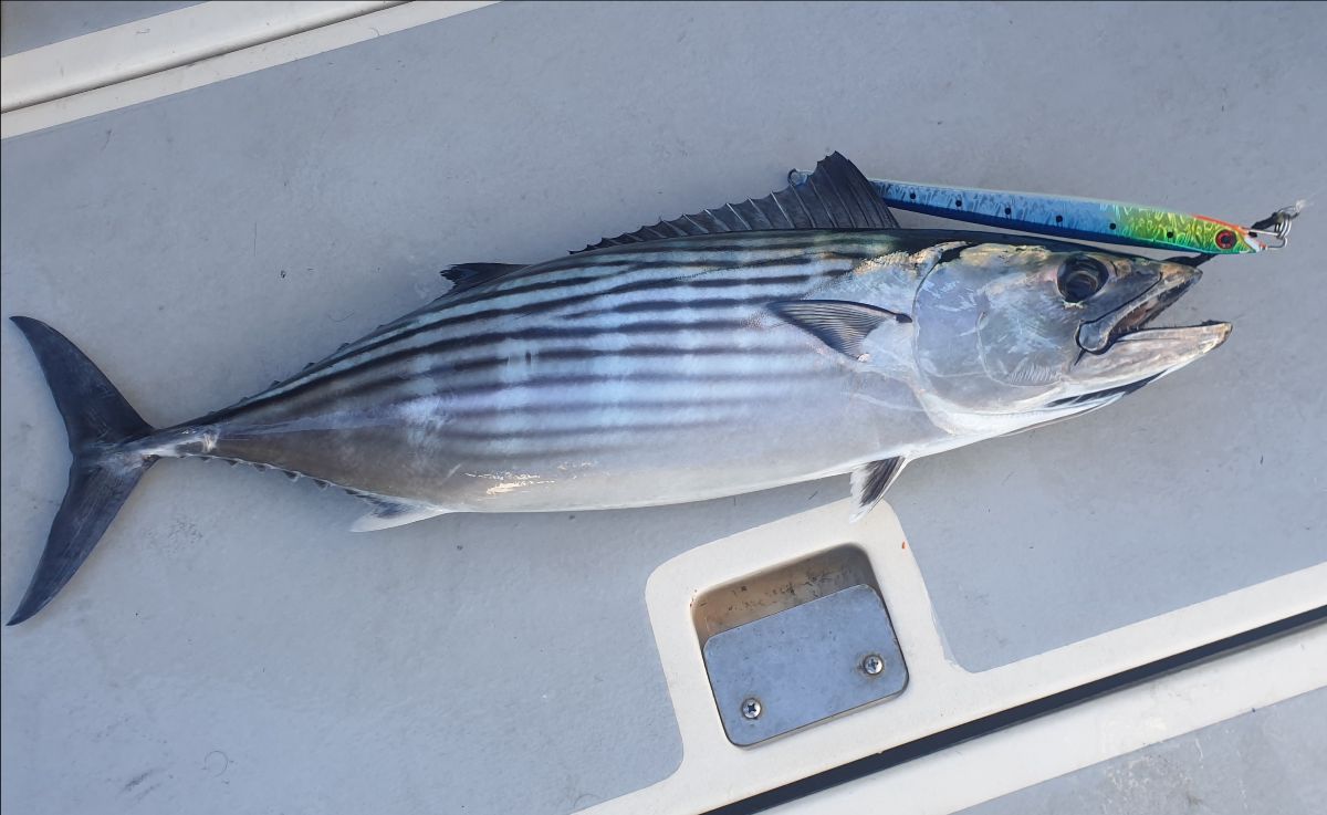Day Of The Jig fishing photo 9