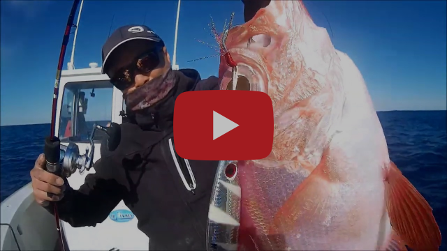 Deep Jigging the Electric Way fishing photo 3