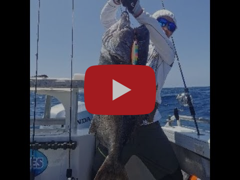 Deep Jigging the Electric Way fishing photo 4