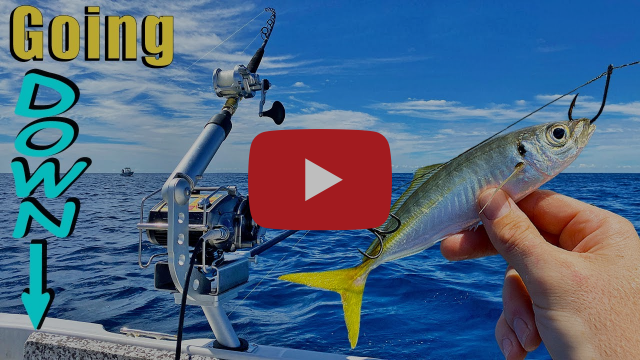 Dollies Down Deep fishing photo 8