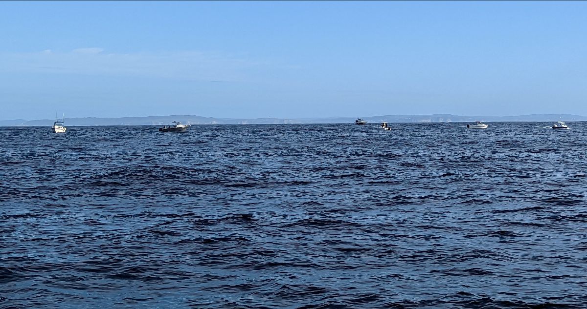 Dollies Down Deep fishing photo 9