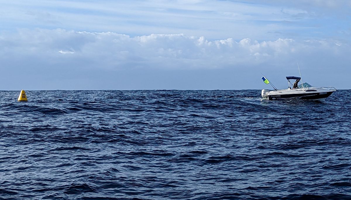 Dollies Down Deep fishing photo 10