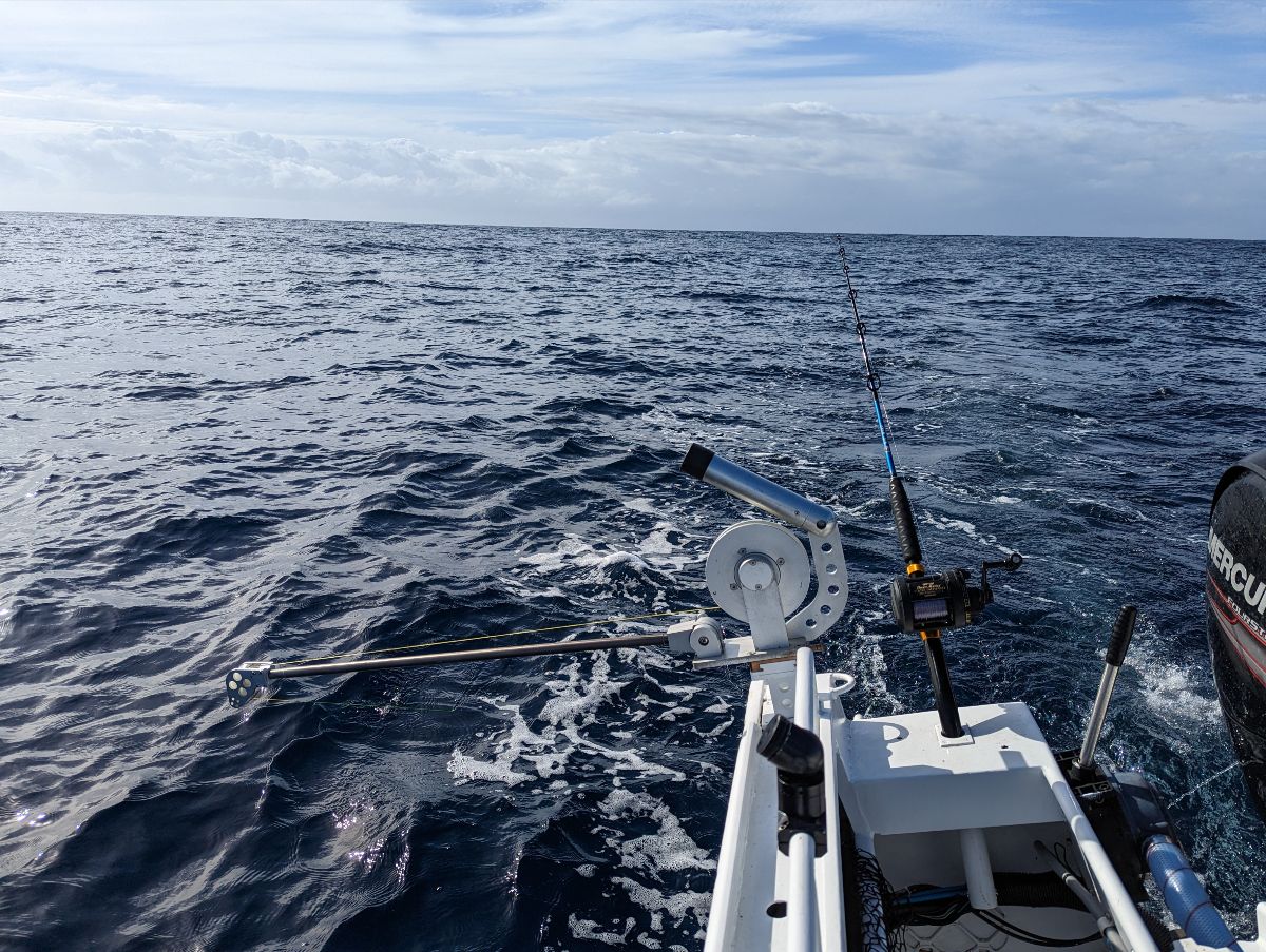 Dollies Down Deep fishing photo 11