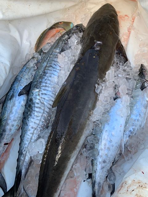Downriggers are Deadly fishing photo 6